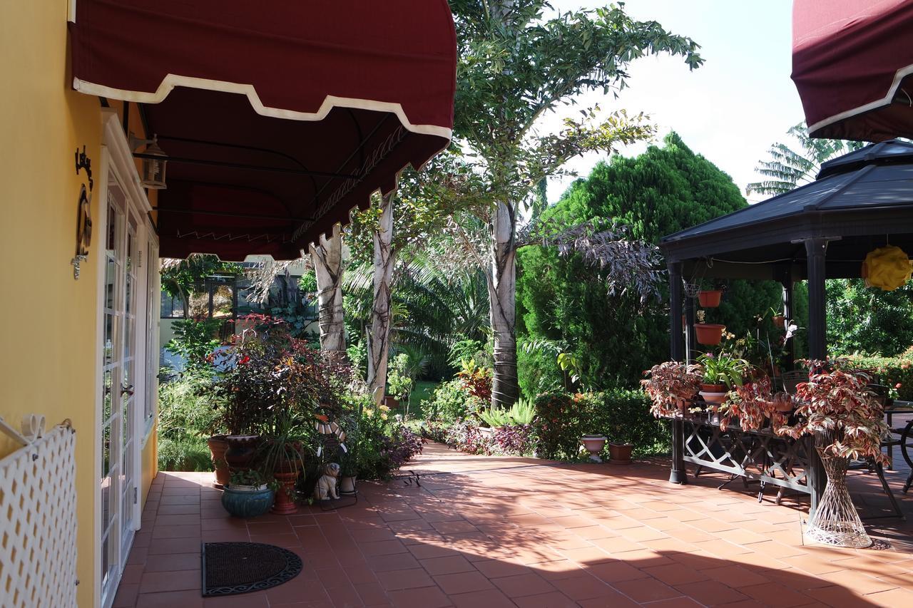 Hotel Kiskadee Korner Port of Spain Exterior foto